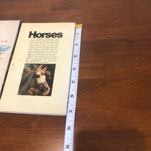 Horse Theme Vintage Books Bundle of Two - Picture 5 of 12
